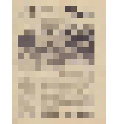 Вырезка из газеты. Ленинец