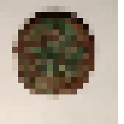 Монета "Полушка 1735 год"