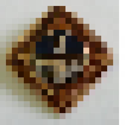 Знак нагрудный "Волжская ГЭС им.В.И.Ленина" Пешкова С.В. СССР, 1980-е гг