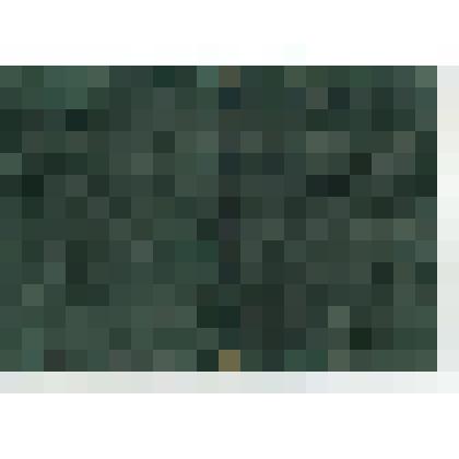 Профсоюзный билет Алексея Ивановича Ефремова