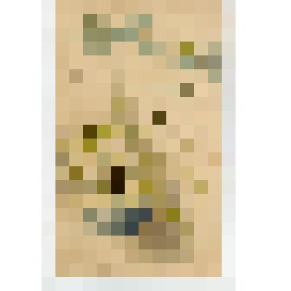 Открытое письмо «Христос Воскресе»