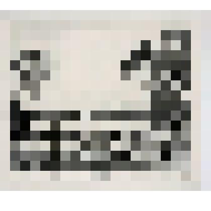 «Вид Каменного острова вдали дачи графа П.А.Строганова».1813-1814. Лист №8 из серии «Виды дачи Графа П.А.Строганова, Черной речки и Каменного острова». (1813-1814)