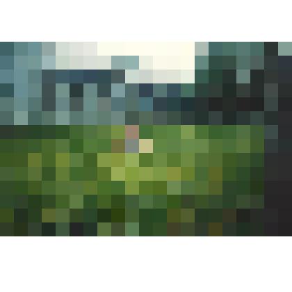 Фотография цветная. Школа в п. Хорпия