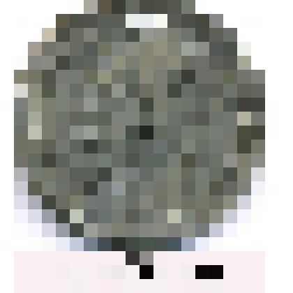 Монета РУБЛЬ