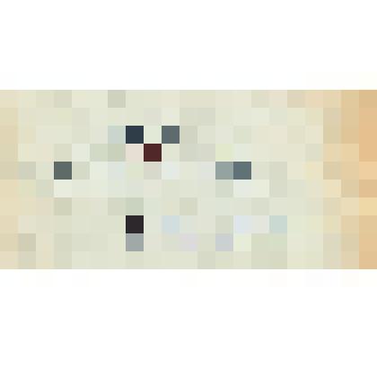 Письмо. Карышева Т. Адресат: Кассиль Лев Абрамович, г. Москва - г. Москва. Беловой автограф