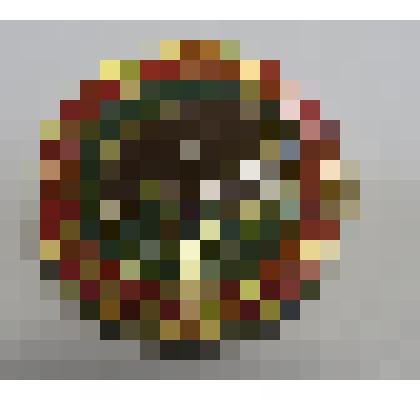 Значок "Флора и фауна Дальнего Востока"