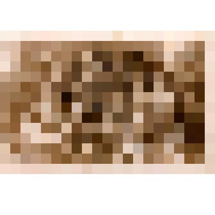 Фотография Исаенко Илья Семенович - участник Великой Отечественной войны 1941-1945 гг