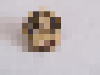 Значок "Н. А. Добролюбов. 1836-1961"