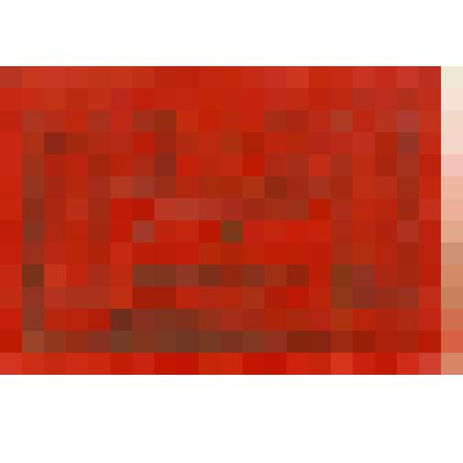 Мандат № 48 Корнеева Д. Е. на 1-ю Смоленскую обл. конференцию профессионального союза работников политико-просветительных учреждений