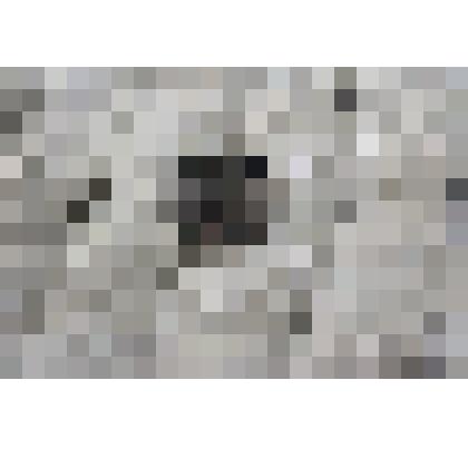 Монета "Полушка"