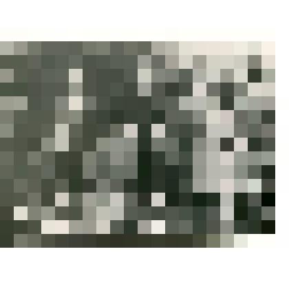 Фото (копия) И.В. Зуев с товарищами