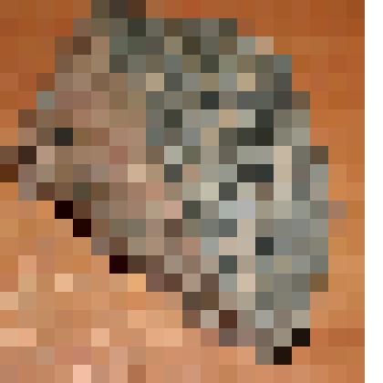 Контакт гранитов и гнейсов