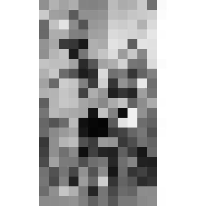 Серия фотографий с авторской фотовыставки "Мой взгляд". Фото цв. Гусар. 1987 г