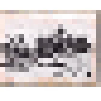 Фотокопия рисунка Ап.М. Васнецова "Пейзаж" 1871