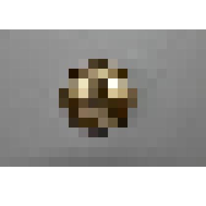 Памятная медаль
«Петродворец  
Большой дворец»