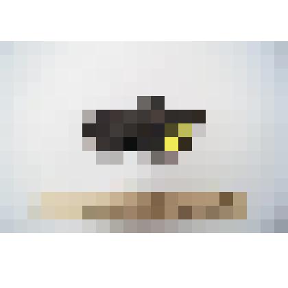 Кожаный сапог. Фрагмент