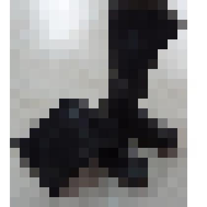 Сапоги кожаные