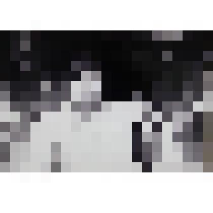 Лето в Алабино