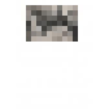 Фотография ч/б. Тюменцевцы  на мемориале