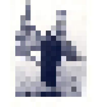 Фотография: Маслова Надежда Савельевна, делегат XIV съезда комсомола от колхоза XX Партсъезда из с.Корнилово Каменского района Алтайского края. Копия