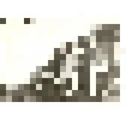 Фотография: торговый дом "А.И.Винокуров с сыновьями" по улице Главной в с.Камень Барнаульского уезда Томской губернии. Копия