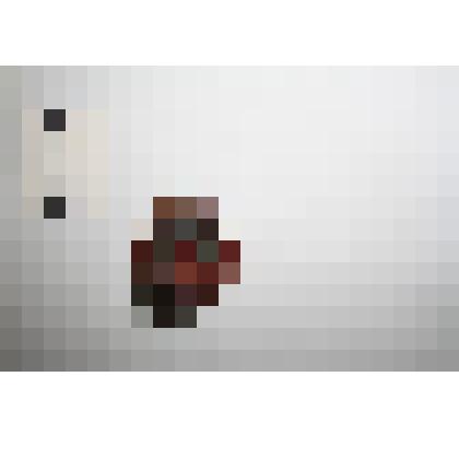 Статутэтка