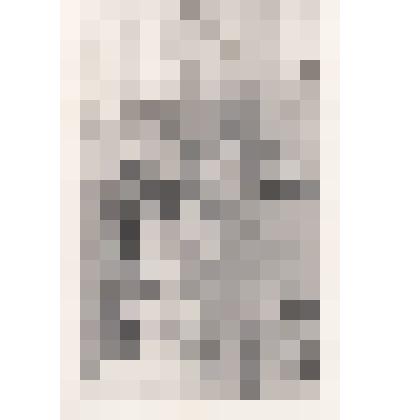 Фотография черно-белая с изображением героя Советского Союза В.Ф.Громакова во время возложения цветов к памятнику К.А.Трунову