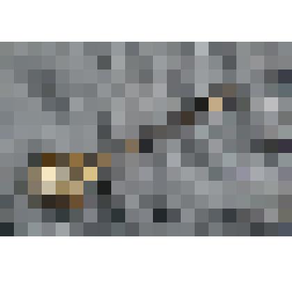 Ложка десертная