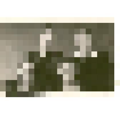 Фотография: бригада коммунистического труда Каменского маслозавода