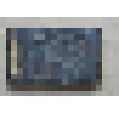 Книга рукописная. Сборник служебных песнопений на линейных нотах. 1760