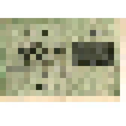 Знак расчётный, 1 тысяча руб., 1919 г. АБ-100