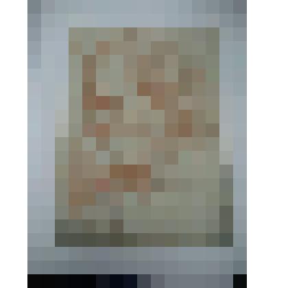 Склоненная голова старика. Коллекция И.С. Зильберштейна, гравюра