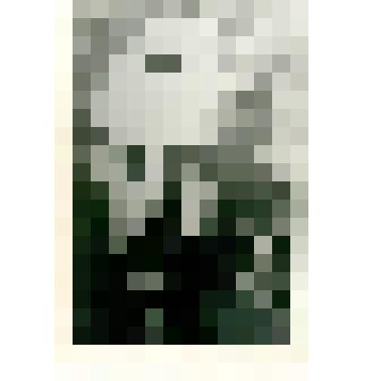 Фотокопия. Фритьор Нансен