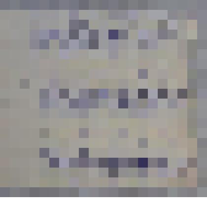 Автобиография врача Радищевой Ольги  Алексеевны (1873-1957)