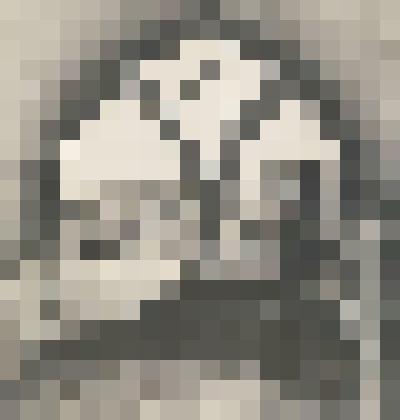 Великий князь Александр Николаевич на Ферме. Акварель кон. 1830-х гг