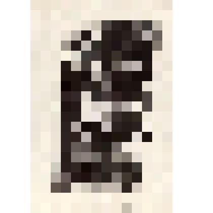 Экслибрис Цилосани, Изабеллы