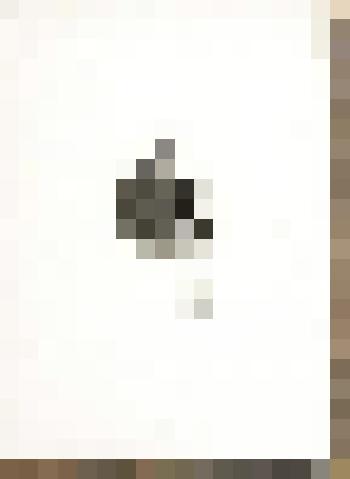 Портрет Ю.Ф. Самарина. Портрет-заметка И.С. Аксакова