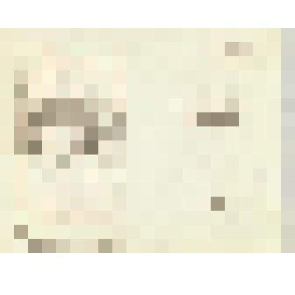 Буклет. "Ветерану 46-й армии, участнику юбилейных торжеств, посвященных 45-летию Победы - бессмертного подвига Отчизны 1941-1945 гг. в Великой Отечественной войне"