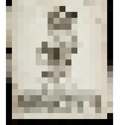 Девица Юлия Пострана