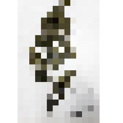 Гербарий
Пример гомологии, аналогии и рудиментарного органа