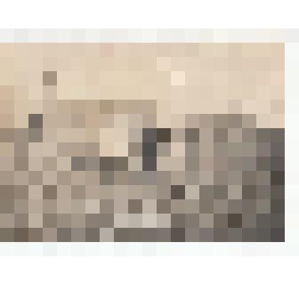 Ф/чб. Крестьяне засеивают поле. Дача Ухиных-Куценко у сл. Покровской. Нач. ХХ в