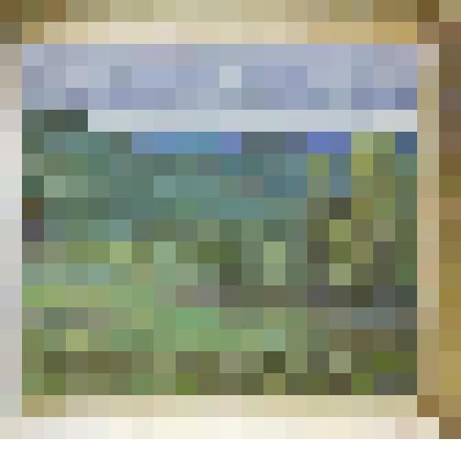 Живопись. Картина "Табунщики едут"