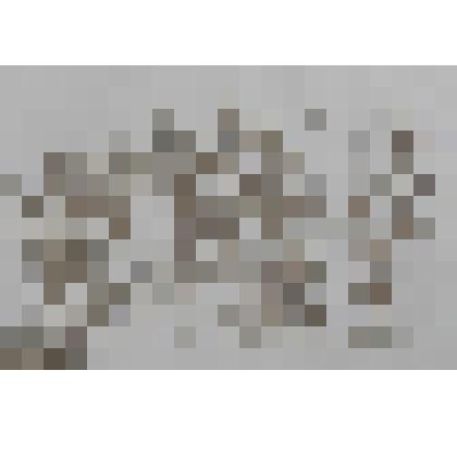 Александр и Роксана