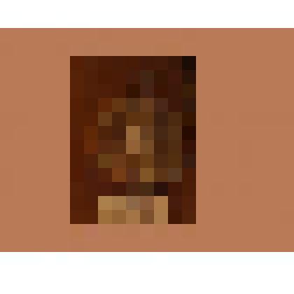 Жетон с изображением Л.Н.Толстого