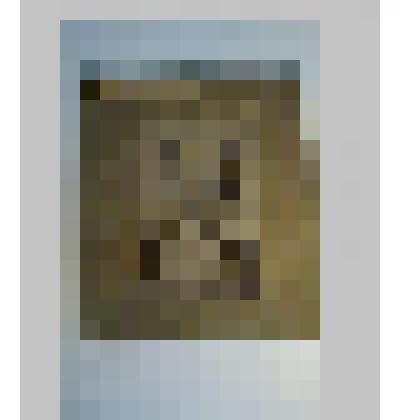 Тканый портрет Л. Н. Толстого в картонной рамке