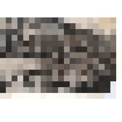 Фотография. Первомайская демонстрация в п. Сосновское