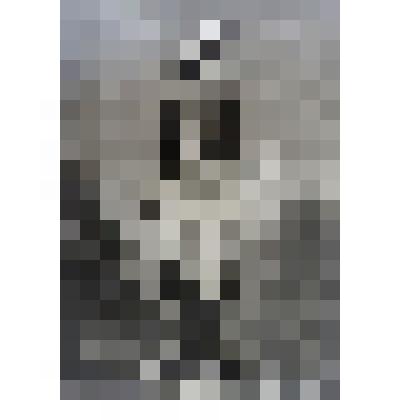 Гравюра «Портрет Пишегрю»