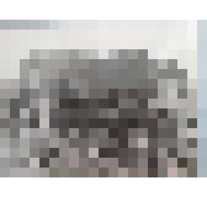 Фотография.  "Георгин"