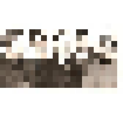 Фотография. Делегаты XXVII съезда КПСС