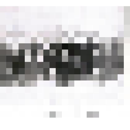 Фотография. Ветераны Великой Отечественной войны, д.Аминево